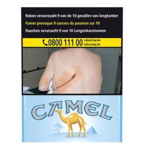 Camel  Blue  10x20